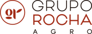 Grupo Rocha